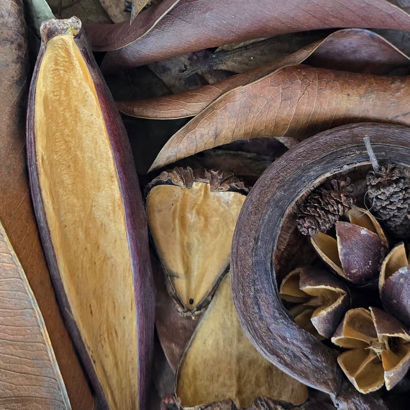 Botanicals