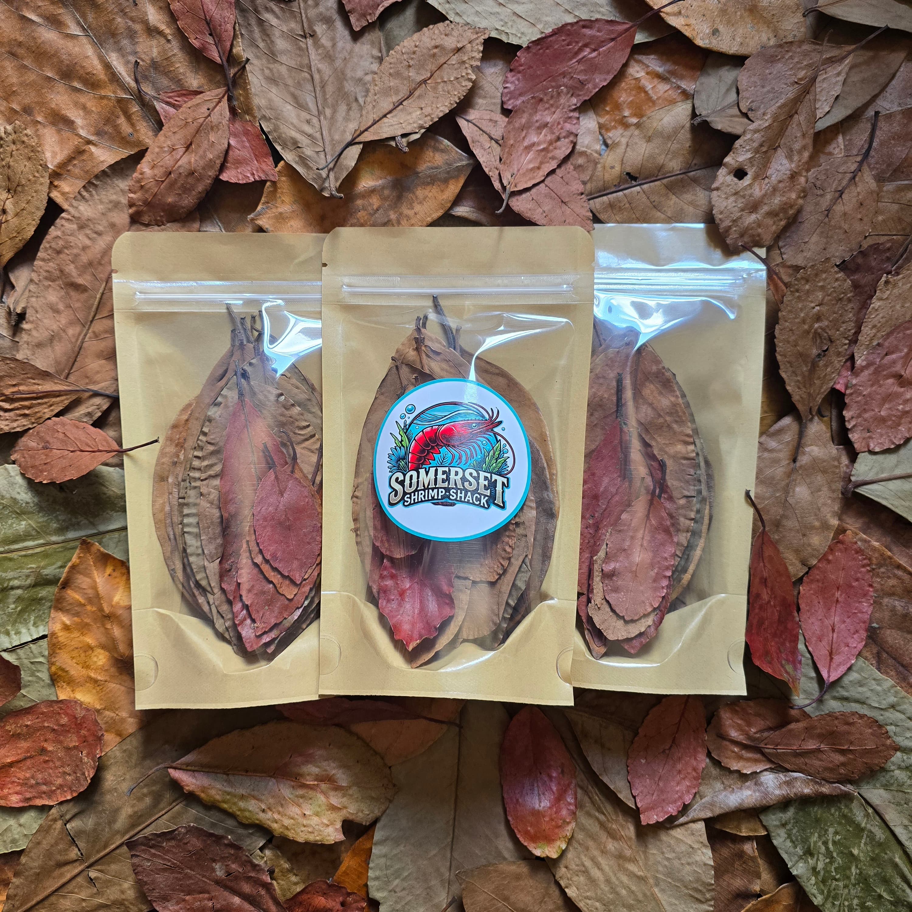 Essential Leaf Pack