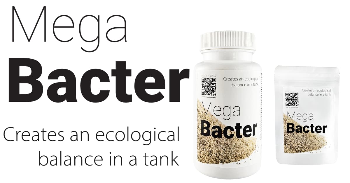 Qualdrop Mega Bacter 30g